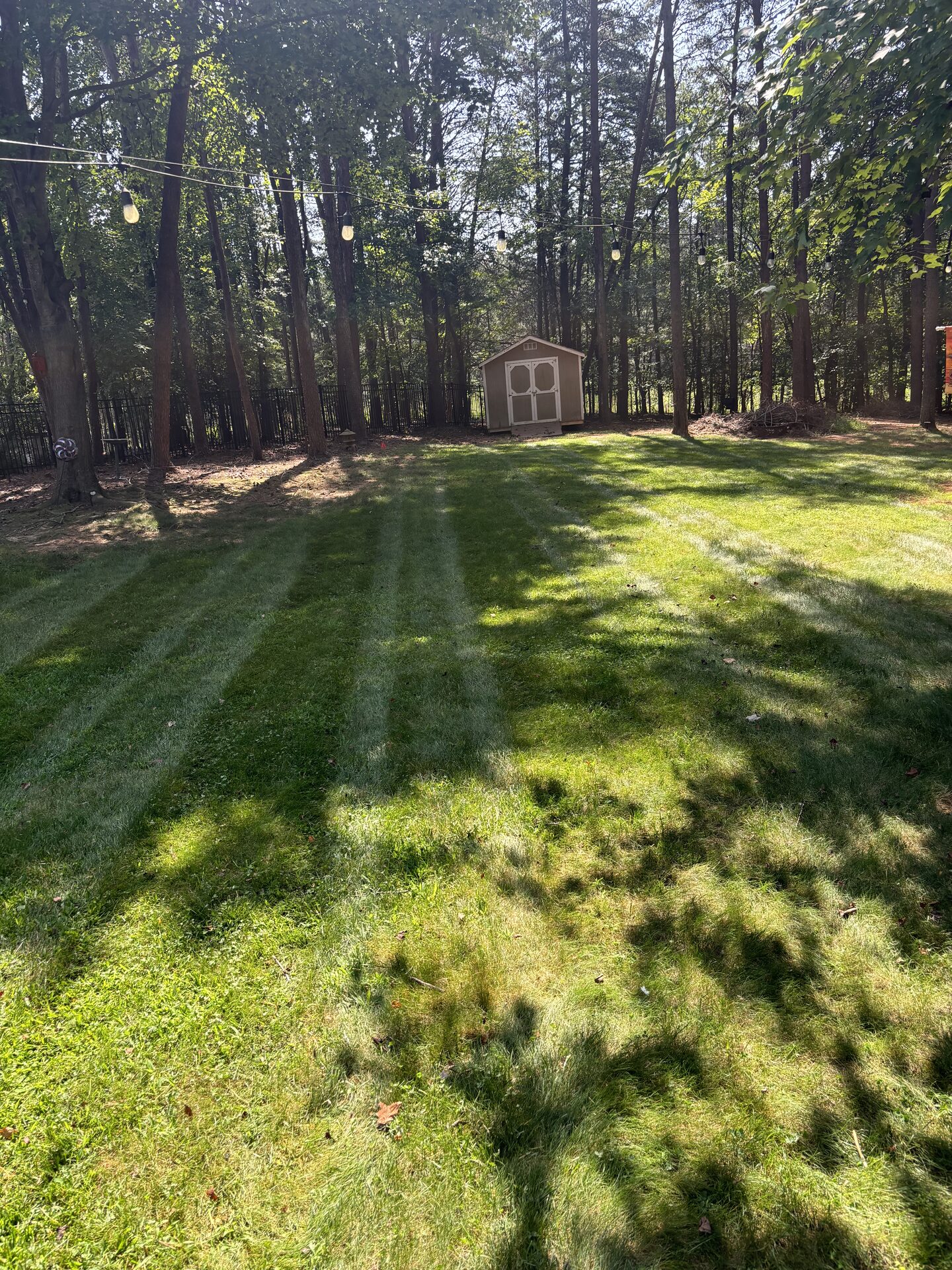 Freshly cut backyard with crisp mower stripes by Phiffer Enterprise