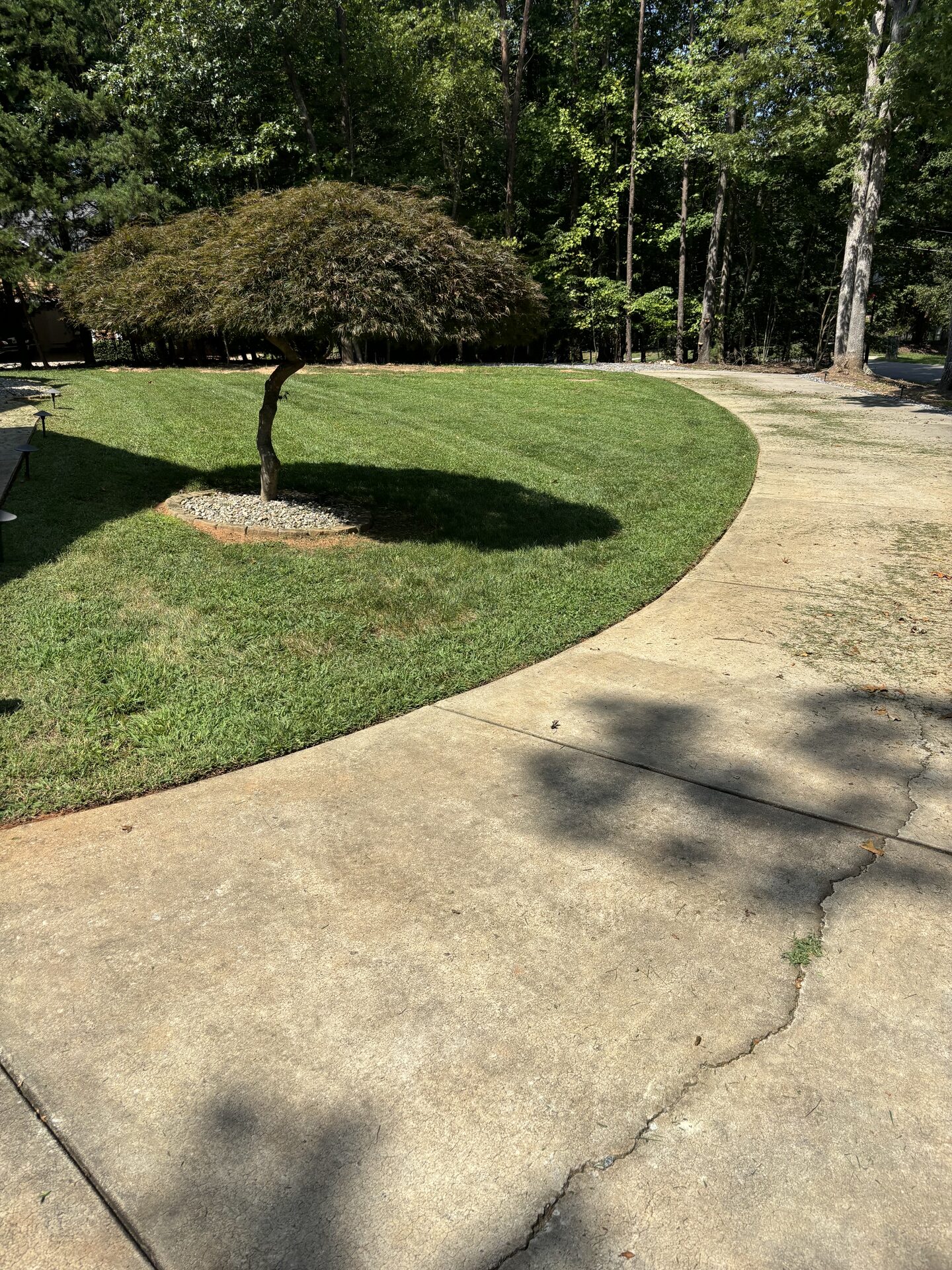 Lawn Mowing